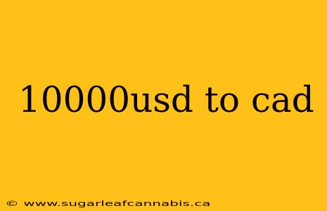 10000usd to cad