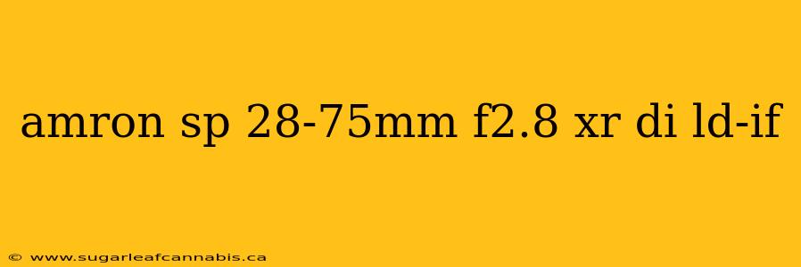 amron sp 28-75mm f2.8 xr di ld-if