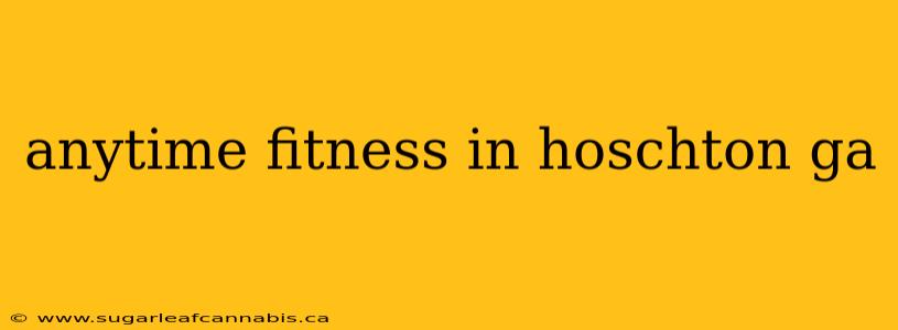 anytime fitness in hoschton ga