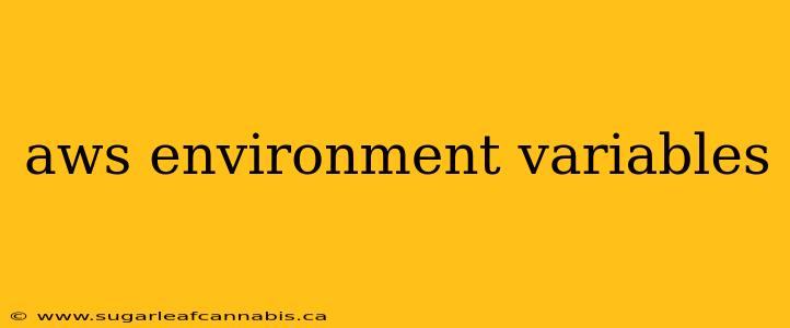 aws environment variables