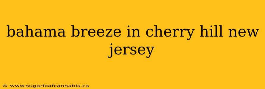 bahama breeze in cherry hill new jersey