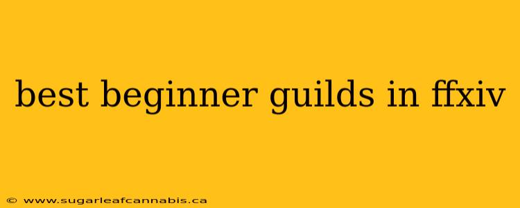 best beginner guilds in ffxiv