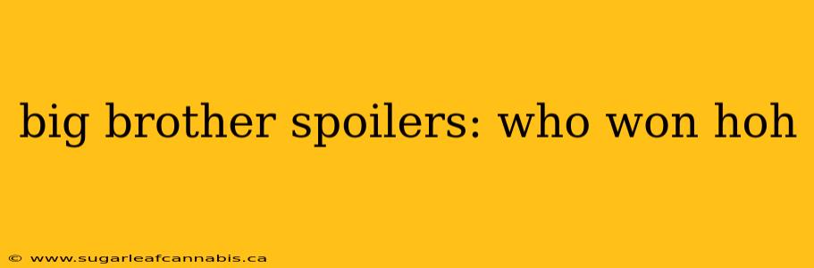 big brother spoilers: who won hoh