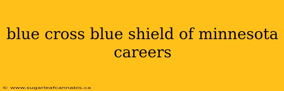 blue cross blue shield of minnesota careers