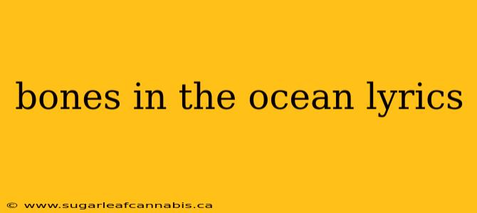 bones in the ocean lyrics