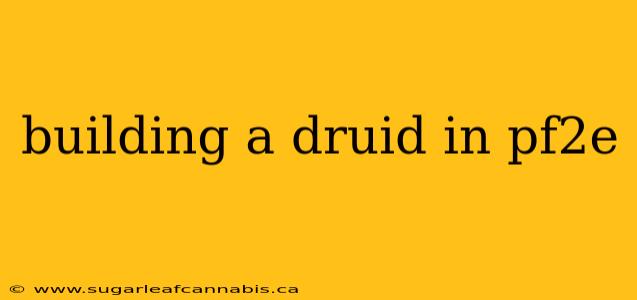 building a druid in pf2e