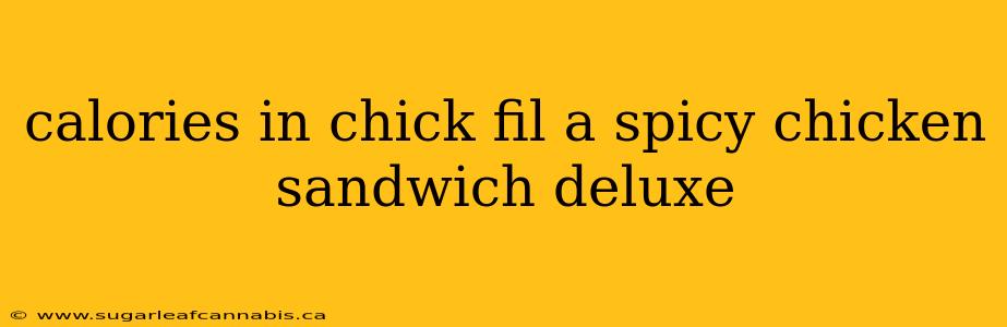 calories in chick fil a spicy chicken sandwich deluxe