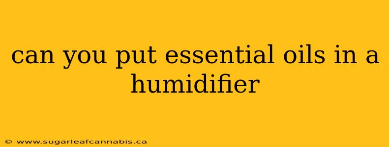 can you put essential oils in a humidifier