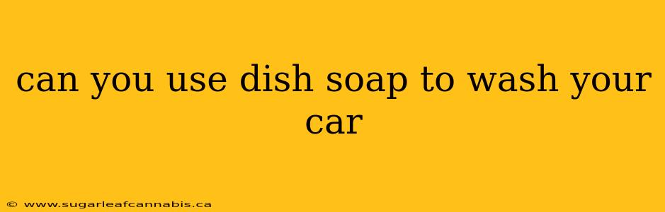 can you use dish soap to wash your car