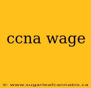 ccna wage