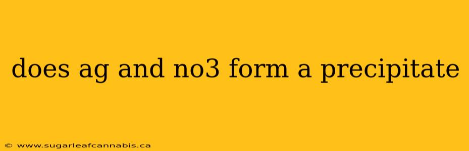 does ag and no3 form a precipitate