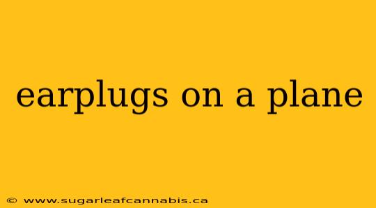 earplugs on a plane