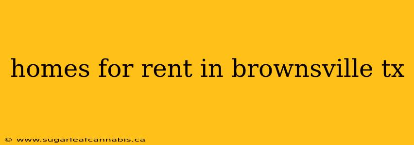 homes for rent in brownsville tx