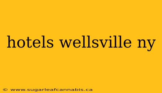 hotels wellsville ny