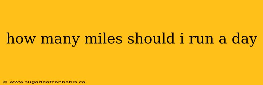 how many miles should i run a day