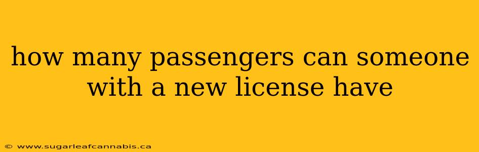 how many passengers can someone with a new license have