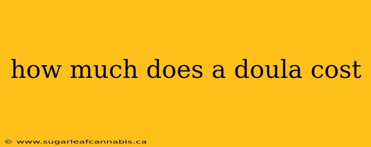 how much does a doula cost