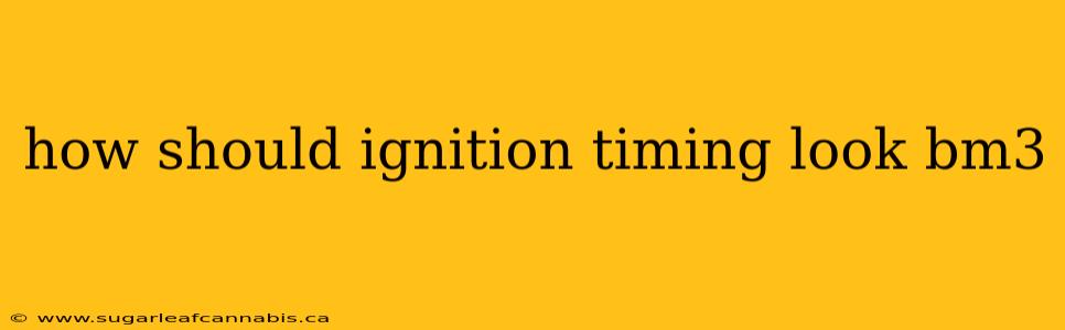 how should ignition timing look bm3