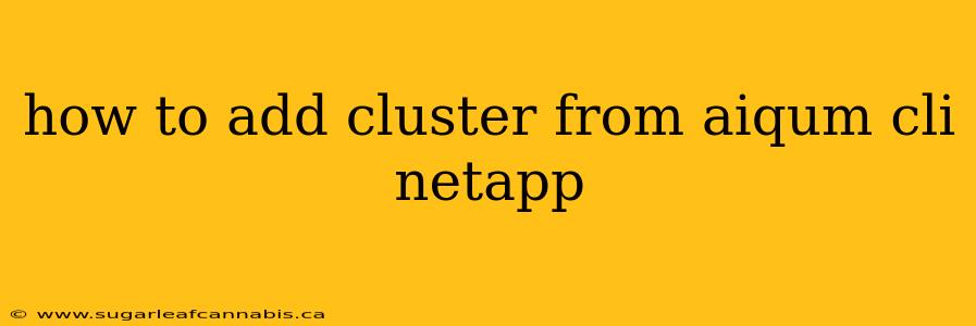 how to add cluster from aiqum cli netapp