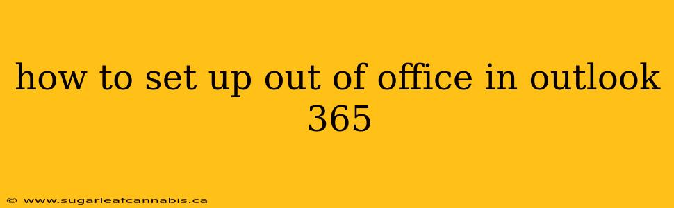 how to set up out of office in outlook 365