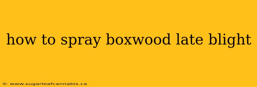 how to spray boxwood late blight
