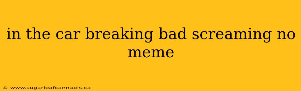 in the car breaking bad screaming no meme