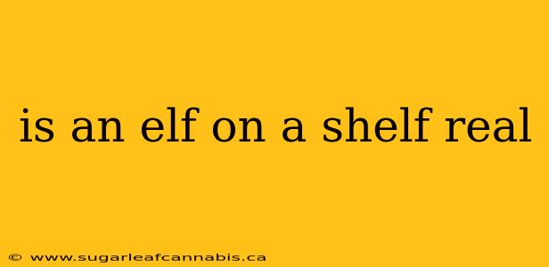 is an elf on a shelf real