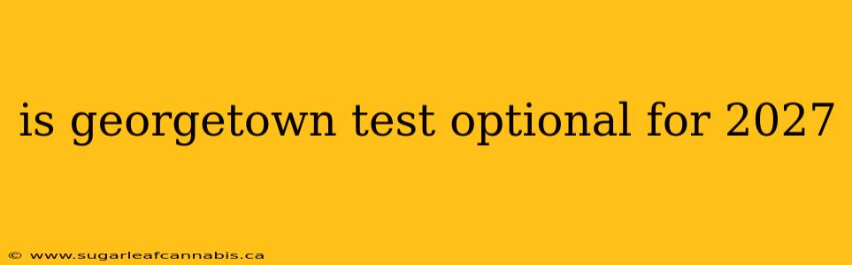 is georgetown test optional for 2027