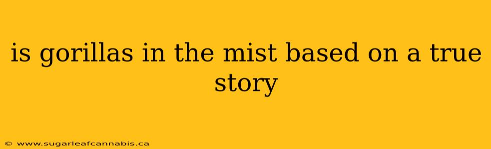 is gorillas in the mist based on a true story