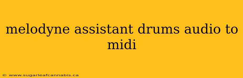 melodyne assistant drums audio to midi
