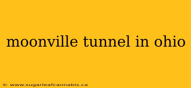 moonville tunnel in ohio