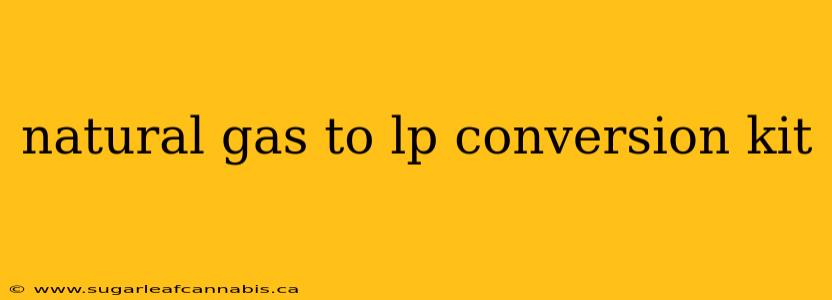 natural gas to lp conversion kit
