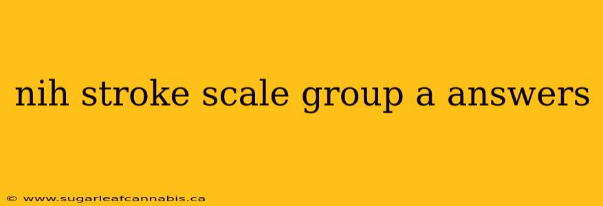 nih stroke scale group a answers