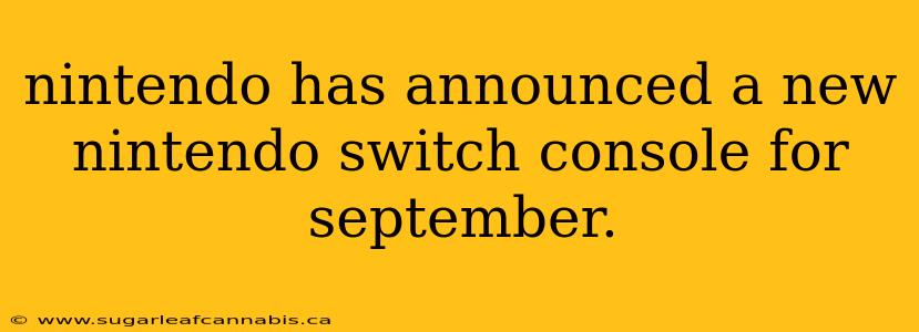 nintendo has announced a new nintendo switch console for september.