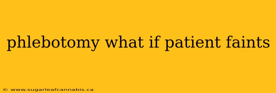 phlebotomy what if patient faints