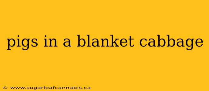 pigs in a blanket cabbage