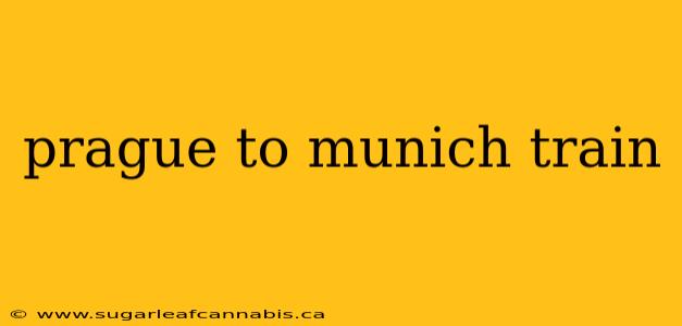 prague to munich train