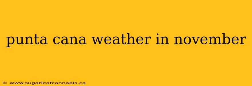 punta cana weather in november