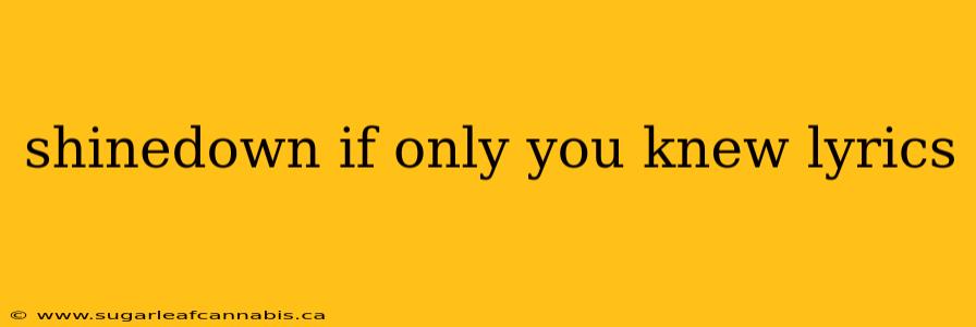 shinedown if only you knew lyrics