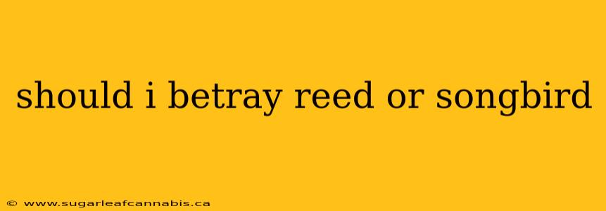 should i betray reed or songbird
