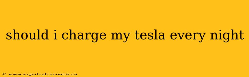 should i charge my tesla every night