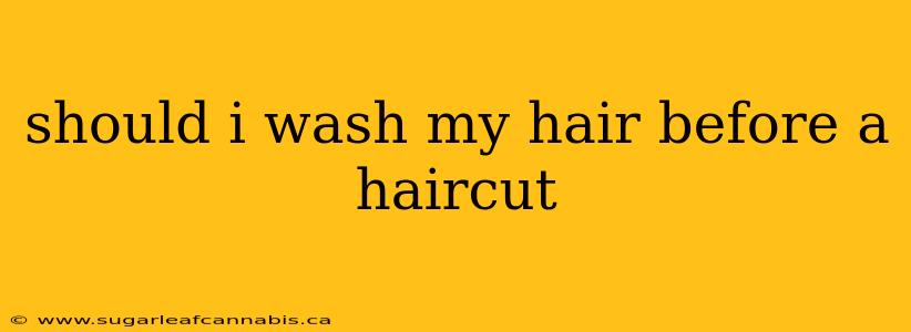 should i wash my hair before a haircut