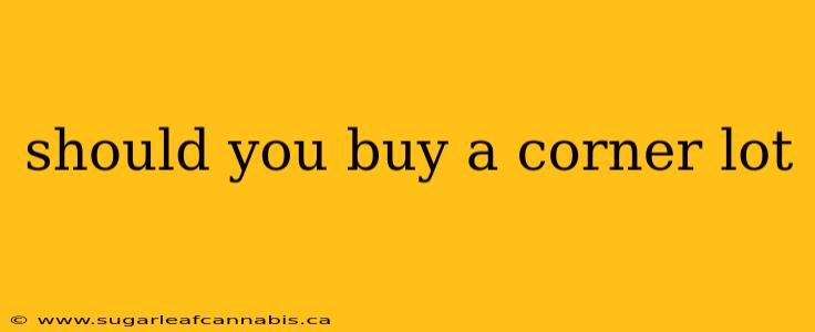 should you buy a corner lot