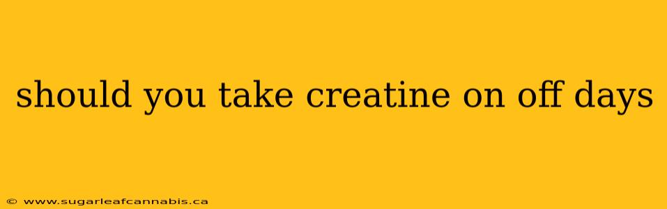 should you take creatine on off days