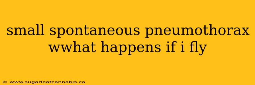 small spontaneous pneumothorax wwhat happens if i fly