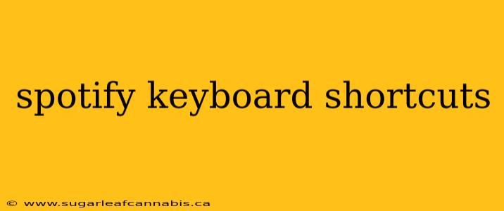 spotify keyboard shortcuts