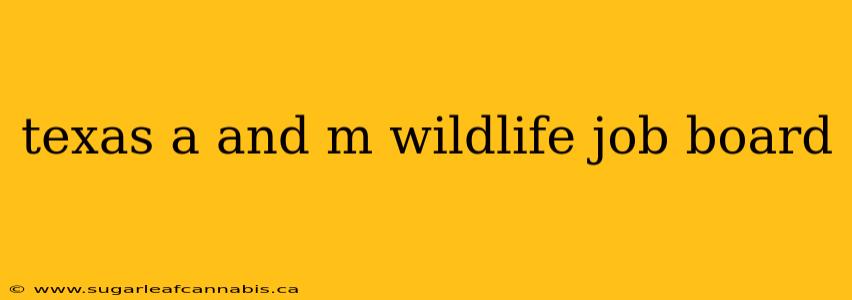 texas a and m wildlife job board