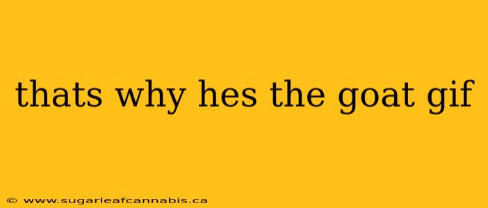 thats why hes the goat gif