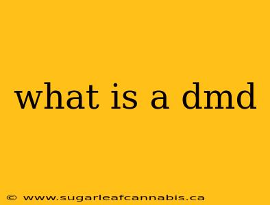 what is a dmd