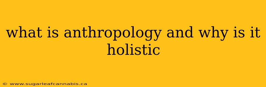 what is anthropology and why is it holistic